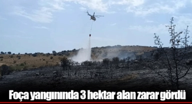 Foça yangınında 3 hektar alan zarar gördü