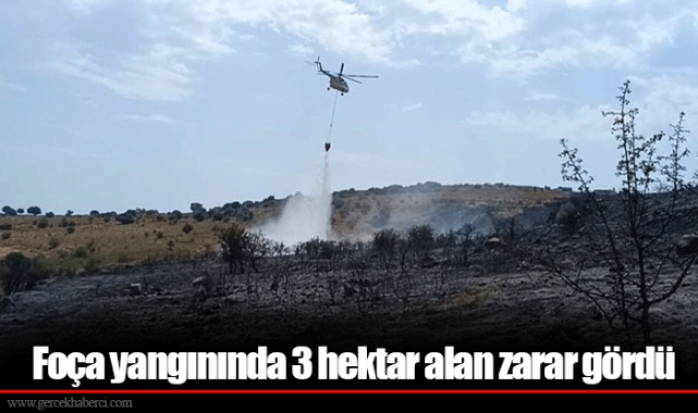 Foça yangınında 3 hektar alan zarar gördü