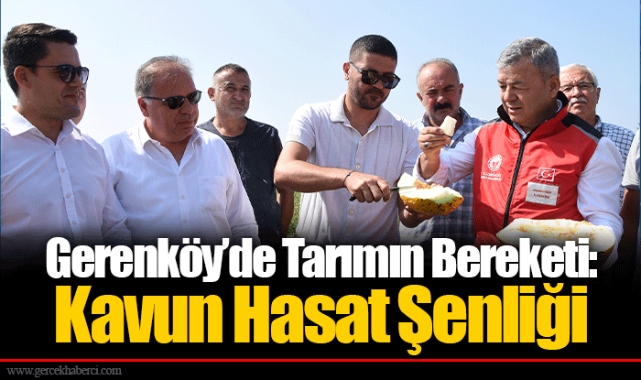 Gerenköy’de Tarımın Bereketi: Kavun Hasat Şenliği