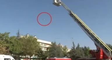 İntihara kalkışan kadın 'kedimi istiyorum' dedi! Ekipler kedisini getirince metrelerce yüksek aşağı atarak öldürdü