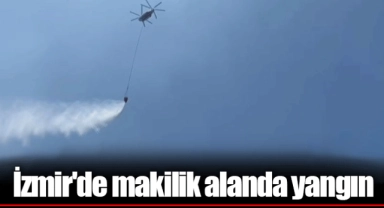 İzmir'de makilik alanda yangın