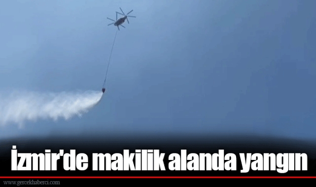 İzmir'de makilik alanda yangın