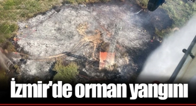 İzmir'de orman yangını