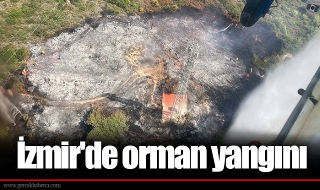 İzmir'de orman yangını