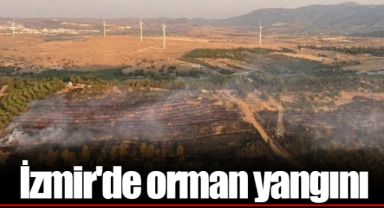 İzmir'de orman yangını