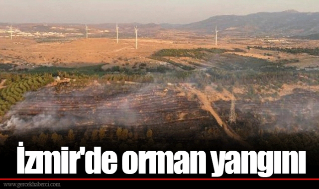 İzmir'de orman yangını