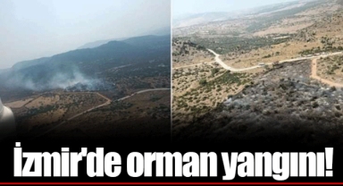 İzmir'de orman yangını!