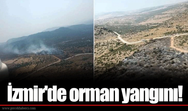 İzmir'de orman yangını!