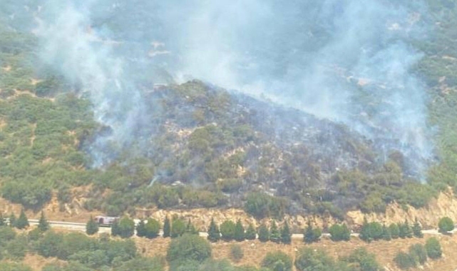 İzmir'de otomobilde çıkan yangın ormana sıçradı