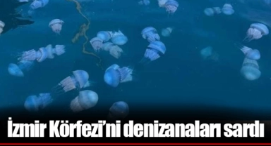 İzmir Körfezi’ni denizanaları sardı