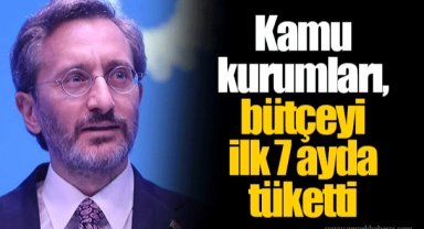 Kamu kurumları, bütçeyi ilk 7 ayda tüketti