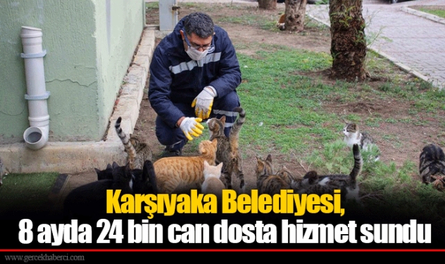 Karşıyaka Belediyesi, 8 ayda 24 bin can dosta hizmet sundu