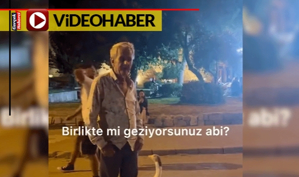 Kaz ile dostluğu yürekleri ısıttı... Yanından hiç ayrılmadı...