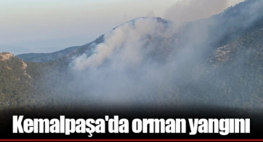 Kemalpaşa'da orman yangını