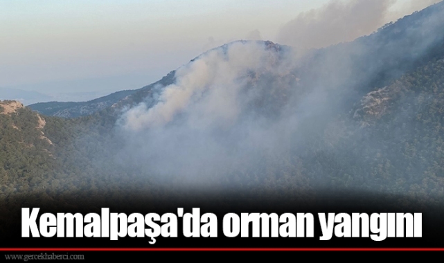 Kemalpaşa'da orman yangını