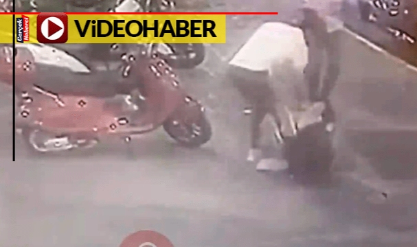 Kendi haline oturan kediye tekme attı...  Yoldan geçen genç, saldırganı evire çevire dövdü