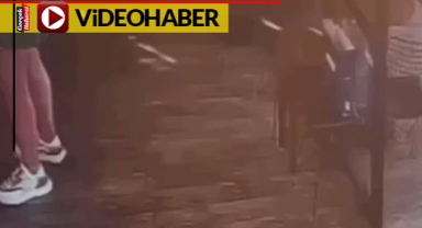 Korkan kedi köpeği kovaladı... Sahibi kediye tekmeye attı