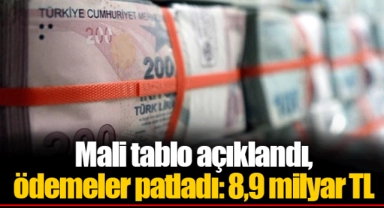 Mali tablo açıklandı, ödemeler patladı: 8,9 milyar TL