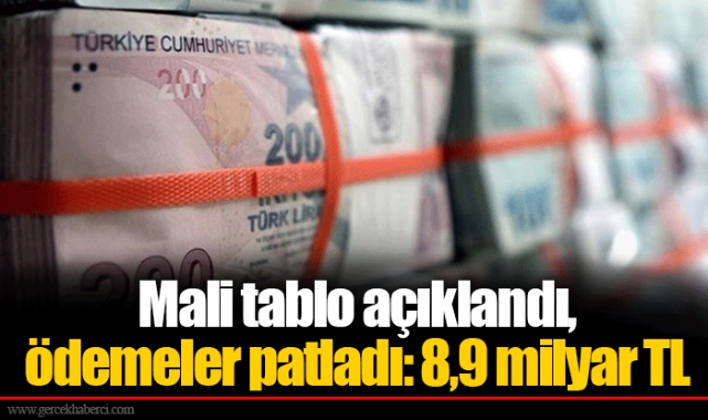 Mali tablo açıklandı, ödemeler patladı: 8,9 milyar TL