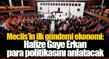 Meclis'in ilk gündemi ekonomi: Hafize Gaye Erkan para politikasını anlatacak