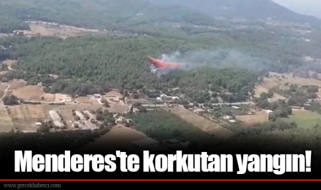 Menderes'te korkutan yangın!
