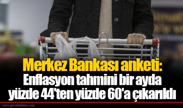 Merkez Bankası anketi: Enflasyon tahmini bir ayda yüzde 44'ten yüzde 60'a çıkarıldı