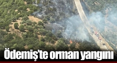 Ödemiş’te orman yangını