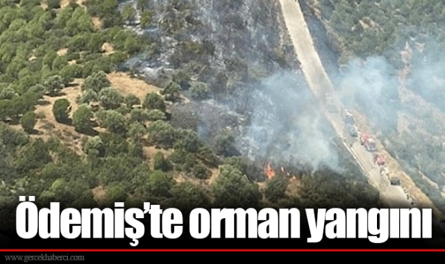 Ödemiş’te orman yangını