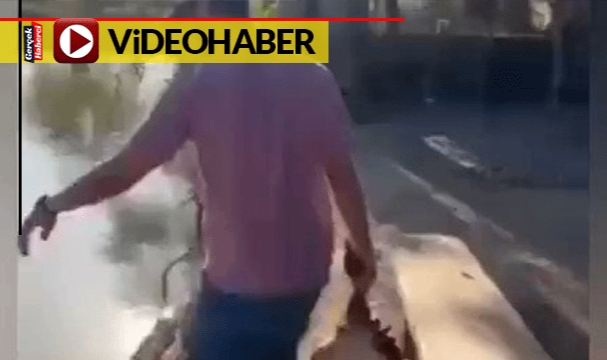 Piranalar,  saniyeler içerisinde eti yok etti, yok olan etten geriye sadece kemikleri kaldı