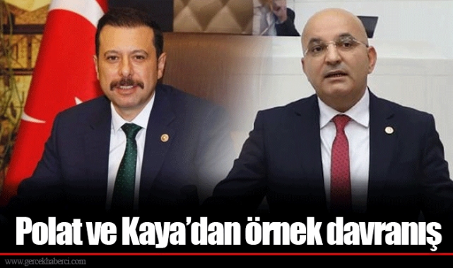 Polat ve Kaya'dan örnek davranış