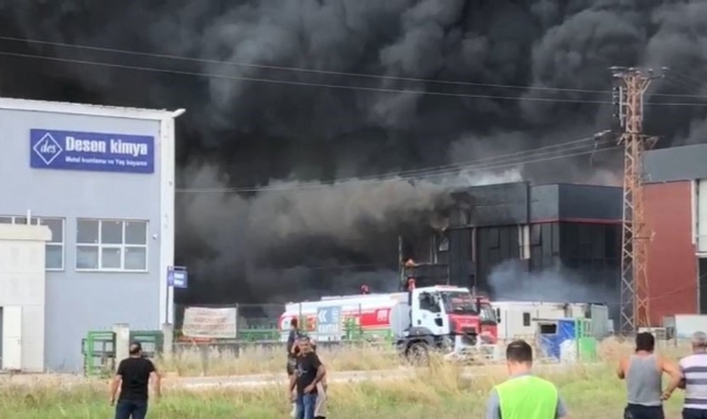Tekirdağ’da bir fabrika alevlere teslim oldu! Patlamalar peş peşe geldi