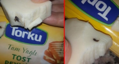 Torku'dan rezalet: Peynirin içinden bakın ne çıktı