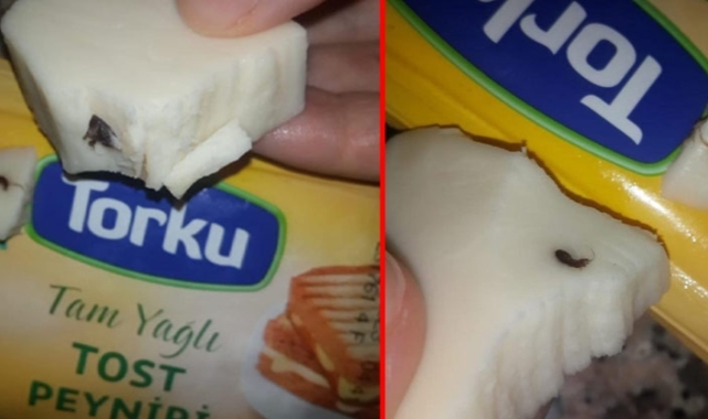 Torku'dan rezalet: Peynirin içinden bakın ne çıktı