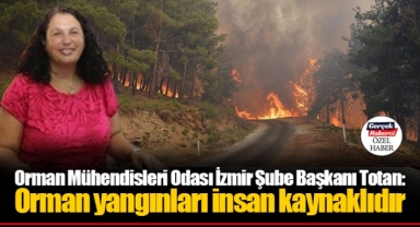 Totan: Orman yangınları insan kaynaklıdır