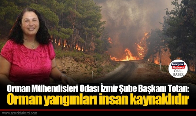Totan: Orman yangınları insan kaynaklıdır