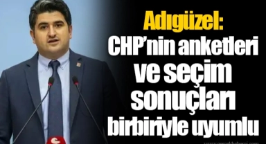 Adıgüzel: CHP’nin anketleri ve seçim sonuçları birbiriyle uyumlu