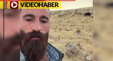Adıyla seslendi, keki gören koyun koşarak geldi: