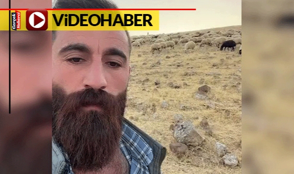 Adıyla seslendi, keki gören koyun koşarak geldi: "Gülçin koş, kek"