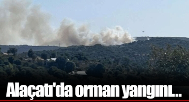 Alaçatı'da orman yangını...
