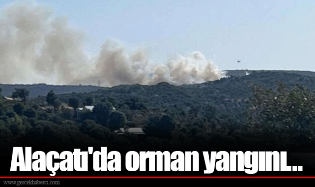 Alaçatı'da orman yangını...