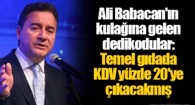 Ali Babacan'ın kulağına gelen dedikodular: Temel gıdada KDV yüzde 20'ye çıkacakmış