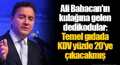 Ali Babacan'ın kulağına gelen dedikodular: Temel gıdada KDV yüzde 20'ye çıkacakmış