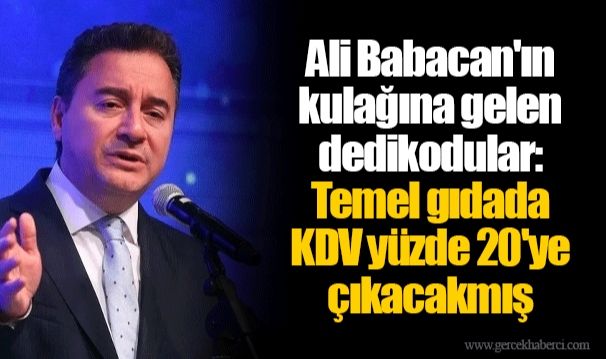 Ali Babacan'ın kulağına gelen dedikodular: Temel gıdada KDV yüzde 20'ye çıkacakmış