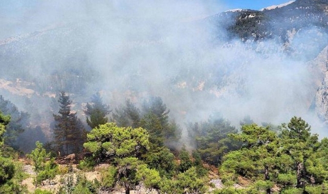 Antalya'nın Kaş ilçesinde orman yangını