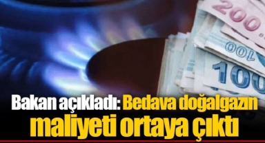 Bakan açıkladı: Bedava doğalgazın maliyeti ortaya çıktı