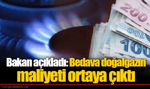 Bakan açıkladı: Bedava doğalgazın maliyeti ortaya çıktı
