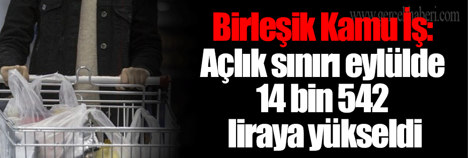 Birleşik Kamu İş: Açlık sınırı eylülde 14 bin 542 liraya yükseldi