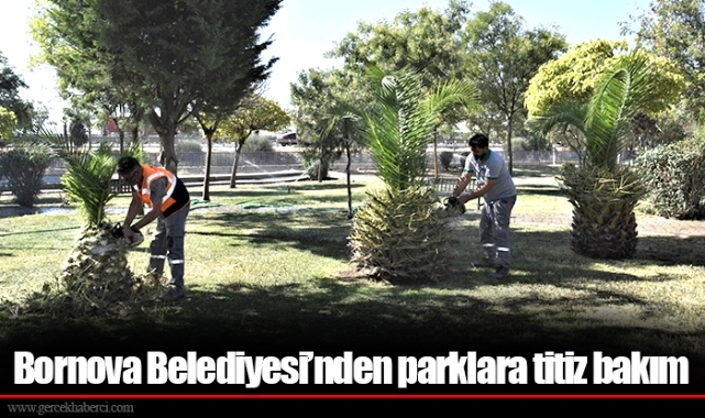 Bornova Belediyesi’nden parklara titiz bakım