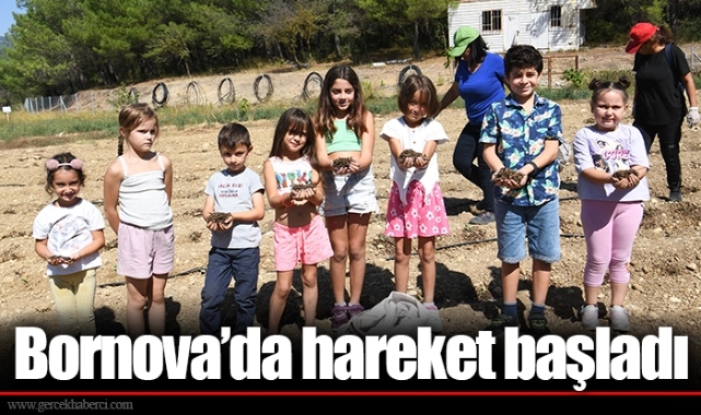 Bornova’da hareket başladı