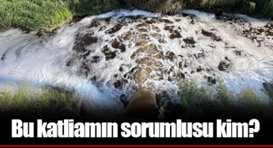 Bu katliamın sorumlusu kim?
